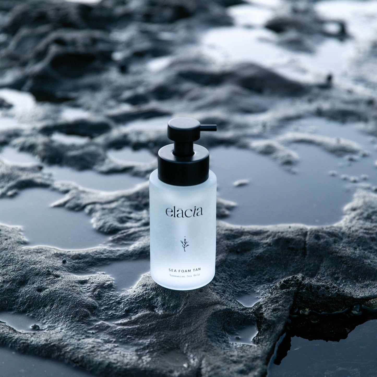 Sea Foam Self Tan